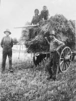 loading the sheaves